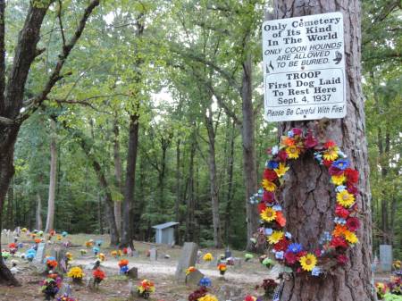 Coon Dog Cemetery