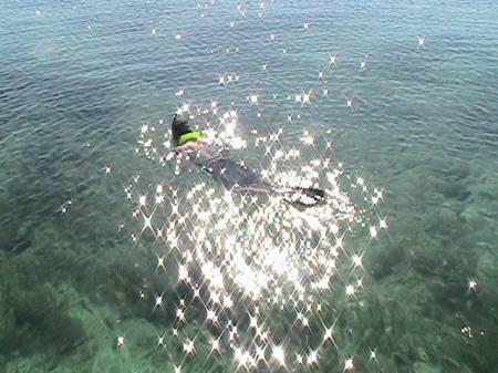 Key Biscayne National Park