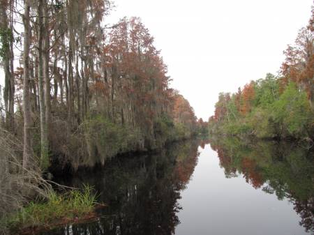 Okefenokee Swamp National Wildlife Refuge