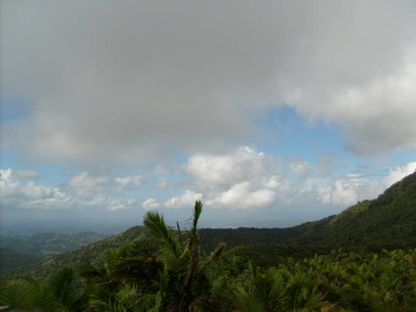 View From Mt. Britton Lookout Tower
