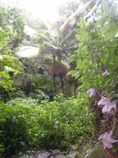 La Mina Trail