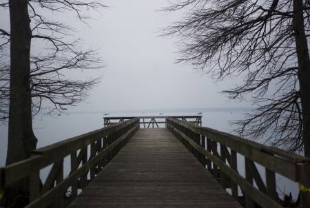 Reelfoot Lake