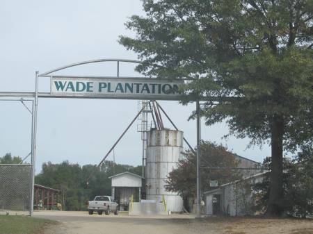 Wade Pecan Plantation, Screven County Georgia
