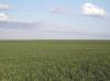 003_017_US-Hwy83PlainsView.jpg