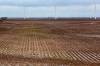 15_Cotton_and_Turbines.jpg