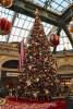 16_Bellagio.jpg