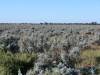 2011-06-02_Countryside_east_of_Burra_SA_1_.jpg