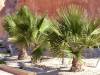 2011-06-03_East_off_the_beaten_track_4_.jpg