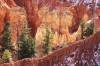 8_Bryce_Canyon_N_P_.jpg