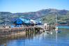 Akaroa_11.jpg