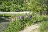Arrowtown_9.jpg
