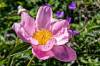 Christchurch_14.jpg