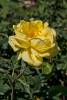Christchurch_5.jpg