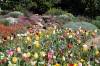 Colors_of_Tulip_Hill_Winery.jpg