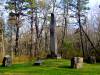 DSC_01521.JPG