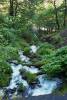Day_8_-_Columbia_River_Gorge_and_Mount_Hood_011.JPG