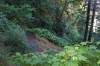 Day_8_-_Columbia_River_Gorge_and_Mount_Hood_017.JPG