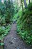 Day_8_-_Columbia_River_Gorge_and_Mount_Hood_023.JPG