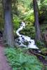 Day_8_-_Columbia_River_Gorge_and_Mount_Hood_025.JPG