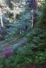 Day_8_-_Columbia_River_Gorge_and_Mount_Hood_027.JPG