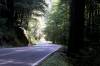 Driving_Highway_20_toward_Fort_Bragg_CA.jpg