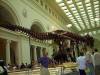 Field_Museum.jpg