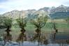 Glenorchy_1.jpg