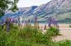 Glenorchy_8.jpg
