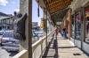 JACKSON_HOLE_2989.jpg