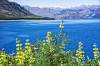 Lake_Hawea_1.jpg