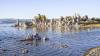 MONO_LAKE_4115.jpg
