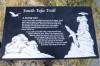 MONO_LAKE_4128.jpg