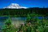 Mt_Rainier.jpg