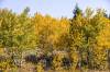 OXBOW_BEND_4022.jpg