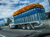 On_the_Road_in_Mexico-13B.jpg
