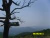 SAM_3019.JPG