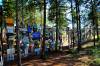 Signpost_Forest.jpg
