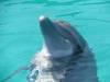 florida_et_al_280.JPG