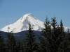 image683.jpg