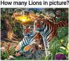 lions_and_Eeyore.jpg