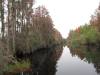 okefenokee.JPG