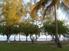 puerto_rico_070.JPG