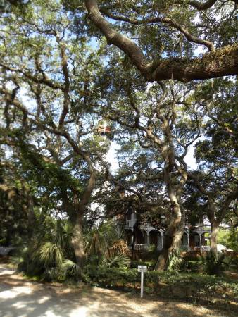 at St. Augustine Lighthouse