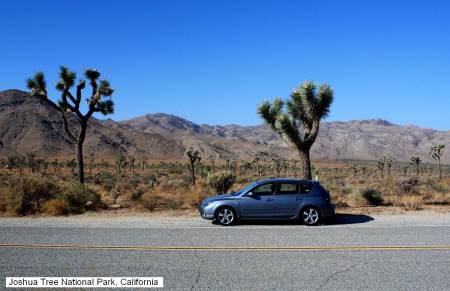 Joshua Tree National Park, California