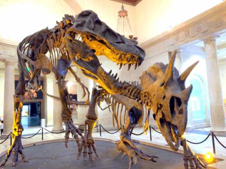 Natural History Museum of Los Angeles County