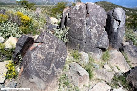 Three Rivers Petroglyph Site, New Mexico