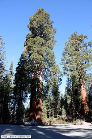 Kings Canyon National Park, California