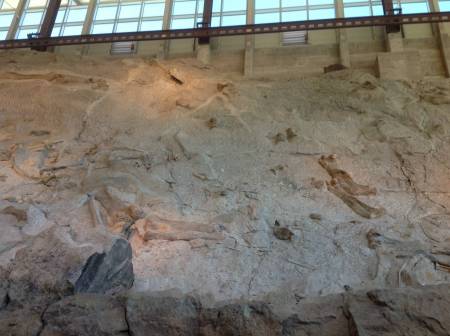 Dinosaur National Monument