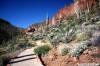Tonto_3709.JPG