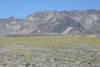 desert-gold-artists-palette-DV.jpg